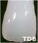 NobelRondo thailand - opalescence dans